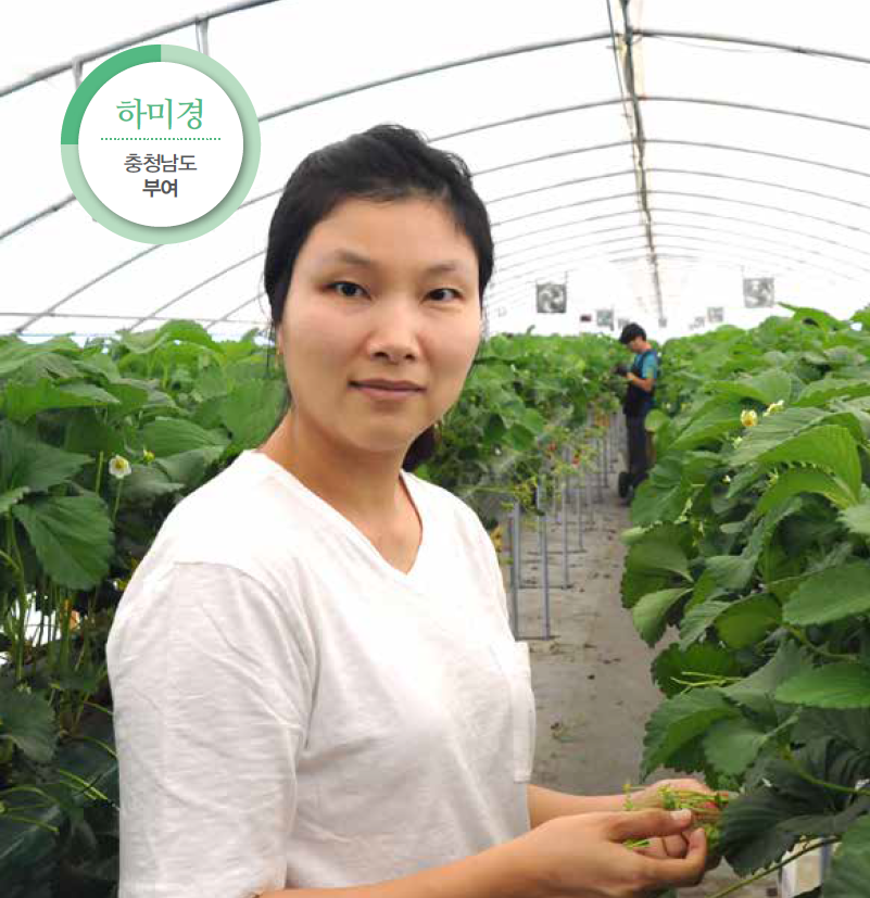 설레임 딸기정원 하미경·김명덕 부부